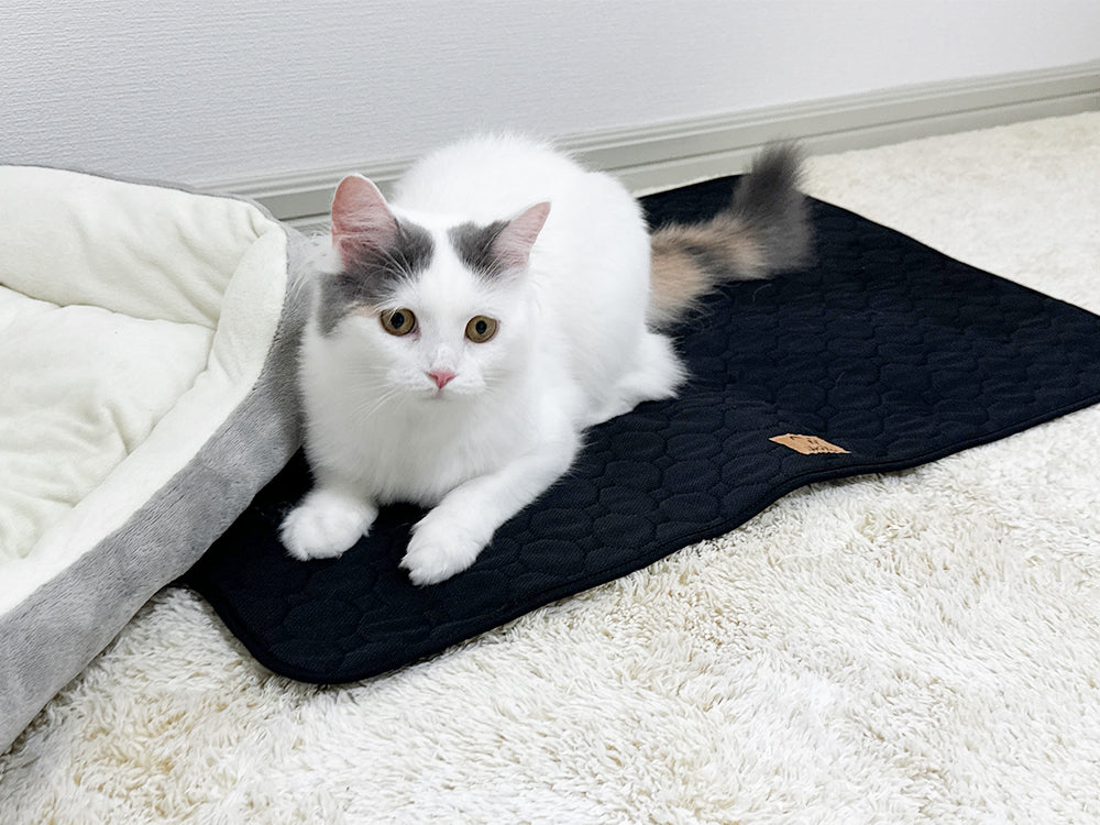 Nyan's Wan's 洗えるペットマット 多用途 繰り返し使える 50㎝×77㎝ 【翌営業日発送】