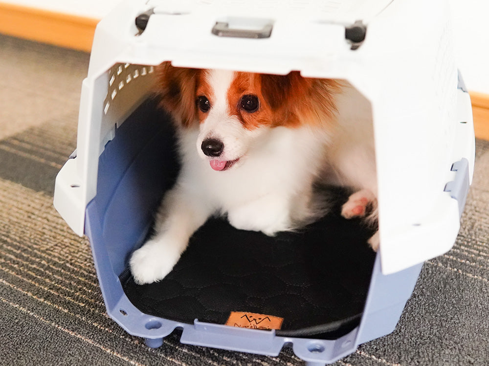 Nyan's Wan's クレートマット Amazonベーシック ペットキャリー ダブルドア Sサイズ専用 【翌営業日発送】